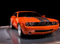 Samolepka flie 100 x 73, 342449 - orange power - oranov energie