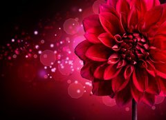 Fototapeta plátno 160 x 116, 34253389 - Dahlia Autumn flower design - Dahlia Podzimní květinový design