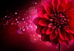 Fototapeta174 x 120  Dahlia Autumn flower design, 174 x 120 cm