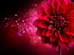Samolepka flie 270 x 200  Dahlia Autumn flower design, 270 x 200 cm