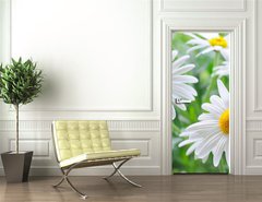 Samolepka na dvee flie 90 x 220  daisy, 90 x 220 cm