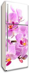 Samolepka na lednici flie 80 x 200  red orchid, 80 x 200 cm