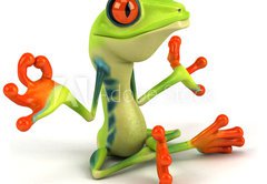 Samolepka flie 145 x 100, 34469495 - Grenouille zen