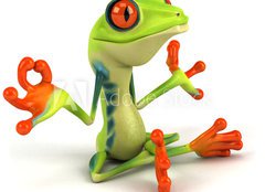 Fototapeta plátno 160 x 116, 34469495 - Grenouille zen