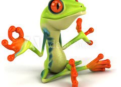 Samolepka flie 200 x 144, 34469495 - Grenouille zen