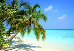 Fototapeta papr 184 x 128, 34555539 - Maldives Adaaran Club Island - Maledivy Adaaran Club Island