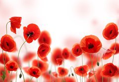 Samolepka flie 145 x 100, 34583820 - Poppy field