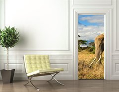 Samolepka na dvee flie 90 x 220  Lone elephant in front of Mt. Kilimanjaro, 90 x 220 cm