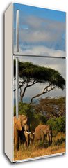 Samolepka na lednici flie 80 x 200  Elephant family in front of Mt. Kilimanjaro, 80 x 200 cm