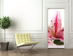 Samolepka na dvee flie 90 x 220  Steine,Lilium, 90 x 220 cm