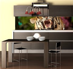 Fototapeta do kuchyn flie 260 x 60, 35010447 - The tiger growls