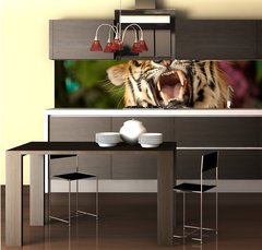 Fototapeta do kuchyn flie 260 x 60, 35010447 - The tiger growls - Tygr k