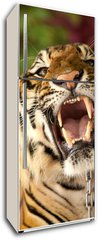 Samolepka na lednici flie 80 x 200, 35010447 - The tiger growls