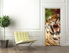 Samolepka na dvee flie 90 x 220, 35010447 - The tiger growls