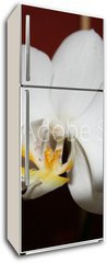 Samolepka na lednici flie 80 x 200, 3521109 - orchidee