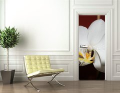 Samolepka na dvee flie 90 x 220, 3521109 - orchidee
