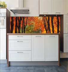 Fototapeta do kuchyn flie 180 x 60, 35345488 - Autumn park in oil painting style