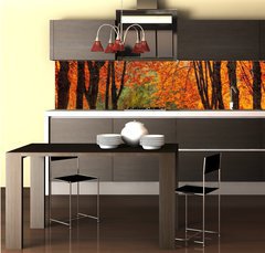 Fototapeta do kuchyn flie 260 x 60, 35345488 - Autumn park in oil painting style