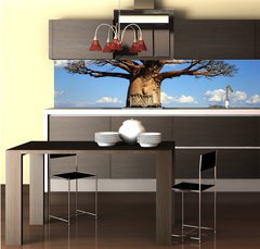 Fototapeta do kuchyn flie 260 x 60  big baobab tree of Madagascar, 260 x 60 cm