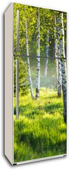 Samolepka na lednici flie 80 x 200, 353870391 - Spring green foliage