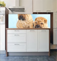Fototapeta do kuchyn flie 180 x 60  Sharpei in front of a white background, 180 x 60 cm