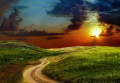 Samolepka flie 145 x 100  Road in field, 145 x 100 cm
