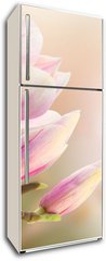 Samolepka na lednici flie 80 x 200  magnolia, 80 x 200 cm