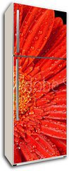 Samolepka na lednici flie 80 x 200  red gerbera daisy, 80 x 200 cm