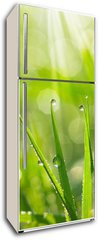 Samolepka na lednici flie 80 x 200, 35733159 - Morning Dew