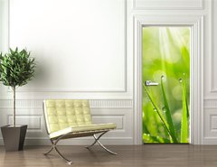 Samolepka na dvee flie 90 x 220, 35733159 - Morning Dew
