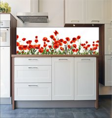 Fototapeta do kuchyn flie 180 x 60, 357867320 - Beautiful red poppy flowers on white background. Banner design