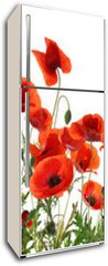 Samolepka na lednici flie 80 x 200, 357867320 - Beautiful red poppy flowers on white background. Banner design