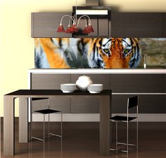 Fototapeta do kuchyn flie 260 x 60  tiger, 260 x 60 cm