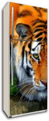 Samolepka na lednici flie 80 x 200  tiger, 80 x 200 cm