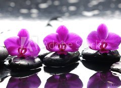 Samolepka flie 100 x 73  Three zen stones and three orchids with reflection, 100 x 73 cm