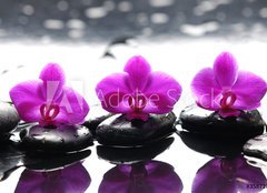 Fototapeta160 x 116  Three zen stones and three orchids with reflection, 160 x 116 cm