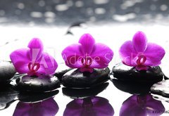 Fototapeta174 x 120  Three zen stones and three orchids with reflection, 174 x 120 cm