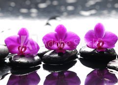 Samolepka flie 200 x 144  Three zen stones and three orchids with reflection, 200 x 144 cm