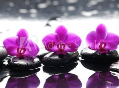 Samolepka flie 270 x 200  Three zen stones and three orchids with reflection, 270 x 200 cm
