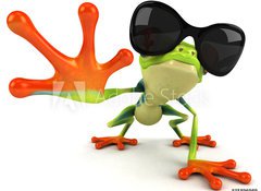 Samolepka flie 100 x 73  Grenouille, 100 x 73 cm