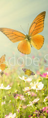 Samolepka na dvee flie 90 x 220  summer flowers, 90 x 220 cm