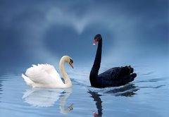 Samolepka flie 145 x 100, 3621124 - love is in the air - lska je ve vzduchu