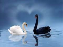 Samolepka flie 270 x 200, 3621124 - love is in the air - lska je ve vzduchu