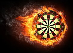 Samolepka flie 100 x 73, 36212218 - Darts Board - ipkov deska