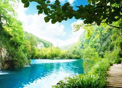 Samolepka flie 200 x 144, 36234695 - waterfall in deep forest