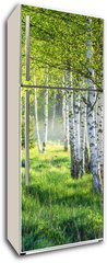 Samolepka na lednici flie 80 x 200, 363600583 - Spring green foliage