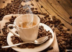 Samolepka flie 200 x 144, 36612519 - caff