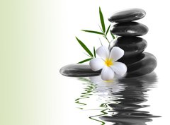 Fototapeta papr 360 x 266, 36696860 - frangipani and stones on a white background
