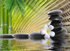 Fototapeta160 x 116  spa stones,bamboo with frangipani, 160 x 116 cm