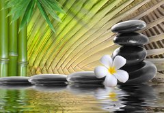 Fototapeta pltno 174 x 120, 36716106 - spa stones,bamboo  with frangipani